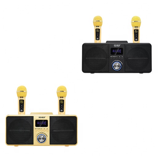 Обучающая портативная Мини Портативная портативная караоке-колонка с 2 микрофонами