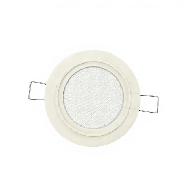 Commercial 3 Inch  Waterprooffull-range Ceiling Speaker System with High Fidelity Sound for Hotels Public Background Music