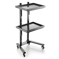 Chariot de Salon de Coiffure Pliable Haut de Gamme en Acier Inoxydable Doré – Mobilier de Salon de Beauté et de Barbier Mobile