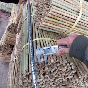 เสาค้ำต้นไม้ทำจากไม้ไผ่ธรรมชาติ เสาค้ำต้นไม้สำหรับสวน เป็นมิตรกับสิ่งแวดล้อม เสาค้ำต้นไม้สำหรับเพาะชำทำจากไม้ไผ่ตงกิน - Product Image 6