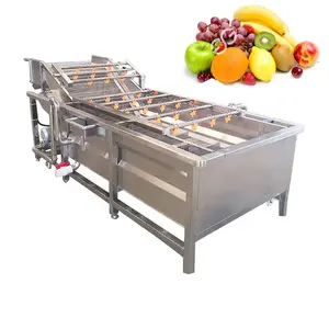 High Quality 1t/h Vegetable And Fruit Washing Machine Tomato Fruit Washer Machine For Fruit Washing