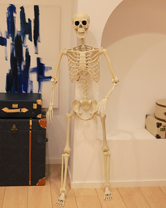 Esqueleto de Halloween Personalizado de 165 cm con Articulaciones Móviles, Huesos Humanos de Plástico para Decoración de Casas Encantadas y Exteriores - Product Image 4