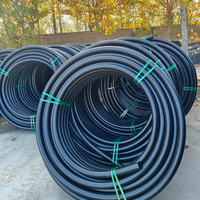 Tuyau d'irrigation en PE LDPE noir 16-50 mm (1-2 pouces) – Rouleau de tube flexible pour ferme, serre et jardin