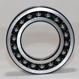 High Quality Self-Aligning Ball Bearings China Double Row 1216 1217 1218 1219 1220EK ATN C3 Restaurant Industry