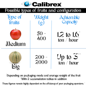 Machine de calibrage de poids multifonctionnelle CALIBREX, fabriquée en France, pour fruits de taille moyenne à grande (pommes, pêches, poires, tomates, melons) - Product Image 5