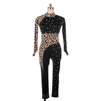 Costume de danse pour femmes, manches longues, dos nu, justaucorps de gymnastique, vêtements de performance, combinaison, vêtements, combinaison en velours à imprimé léopard