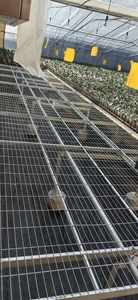 Tables <span class=keywords><strong>de</strong></span> bancs <span class=keywords><strong>de</strong></span> serre roulantes durables pour <span class=keywords><strong>lit</strong></span> <span class=keywords><strong>de</strong></span> pépinière avec couvercle en alliage d'aluminium et maille à armure toile pour l'ensemencement - Product Image 5