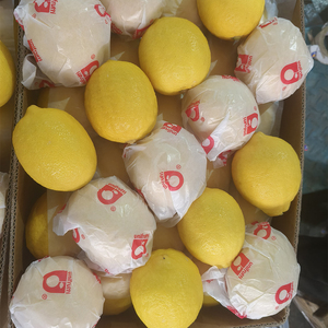 Cam chanh vàng tươi mùa nóng bán chanh tươi và chanh tươi - Product Image 3