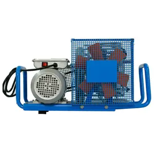 DMC High pressure industrial electrical 300bar diving air compressor for sale