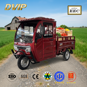 Triciclo Eléctrico de 3 Ruedas con Cabina Cerrada, Nuevo Diseño Económico, de 2000W a 3000W, Certificado EEC, Caja de Carga Resistente, Popular en <span class=keywords><strong>Europa</strong></span> - Product Image 1