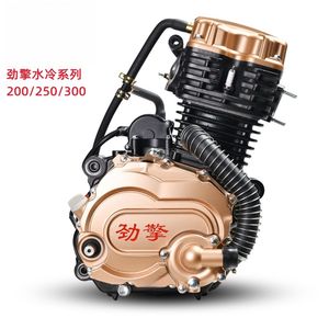Moteur Zongshen puissant 300 cm³ refroidi par liquide (Defender) pour moto et tricycle - Product Image 1