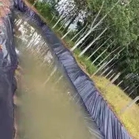 Film de construction en plastique PE 150 microns 10*100 pieds 100% recyclé Rouleau de polyéthylène noir LDPE Feuilles de plastique multi-usages Constructeur