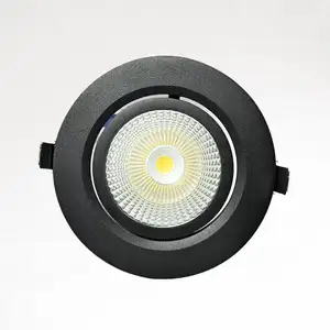 Neues Design Einstellbarer LED Cob Down Lichtsc halter Smart LED Down Light Private Label 20w 30w Schwarz Guangdong 90 Zeitgenössisch 50000