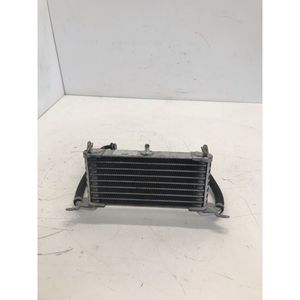 Radiatore Olio per BMW S 1000 XR 2014-2019, S 1000 R 2013-2016, S 1000 RR 2009-2014 - Product Image 1