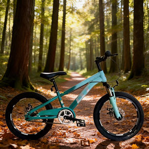 Vélo d'entraînement pour enfants Hebei HyPod modèle 20, pour garçon de 14 ans, <span class=keywords><strong>BMX</strong></span>, vélo de rue, vélo pour enfants - Product Image 6