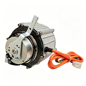 Motor Diferencial Sem Escovas de 1500W 60V para Uso Pesado, 6N.m, Freio Eletromagnético, Ímã de Cobre Completo para Scooter de Quatro Rodas - Product Image 1