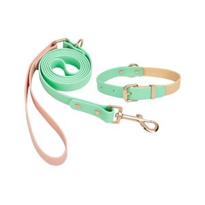 Ensemble laisse et collier en PVC pour animaux de compagnie, imperméable, résistant aux morsures, pour promenades en extérieur, couleur unie - Product Image 1