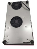 Cuisine utilisée 110V/220V Cuisinière à induction électrique OEM Plaque de cuisson à induction invisible
