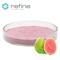 Poudre de fruit de goyave en vrac, soluble dans l'eau, conserve l'arôme naturel des fruits tropicaux et leur valeur nutritionnelle