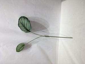 ใบ <span class=keywords><strong>Calathea</strong></span> ประดิษฐ์,สีเขียวผ้าไหมพร้อมขอบสีขาวสำหรับตกแต่งโต๊ะในร่ม - Product Image 5