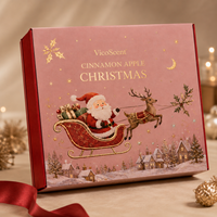 Coffret Cadeau de Parfum OEM Noël Pomme Cannelle Vanille 100ml pour Femme Eau de Parfum Fabricant Personnalisation Logo Étiquette et Boîte