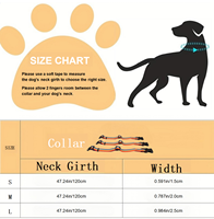 NOVIPET Accessoires pour animaux de compagnie en PVC Colliers et laisses durables Style personnalisé Motif imprimé arc-en-ciel Laisse pour chien anti-emmêlement