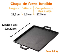 Plaque de cuisson en fonte pré-assaisonnée pour barbecue, traitée à l'huile végétale, pour cuisson extérieure, robuste, pour steak, compatible four