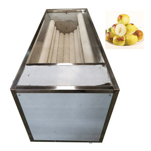 Máquina de descontaminación de melocotón más vendida Máquina de descontaminación de cereza de ciruela Máquina de limpieza de albaricoque - Product Image 2