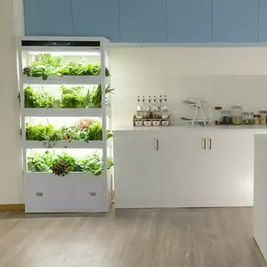 Ev akıllı led ışık bahçe mini aeroponic kapalı bahçe hidroponik yetiştirme sistemi