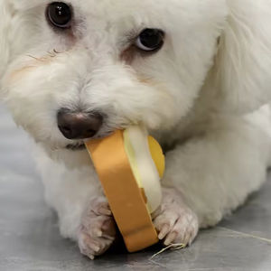 Yeni Bite dayanıklı sevimli yumurta ekmek şekilli doğal lateks köpek oyuncak interaktif kauçuk gıcırtılı <span class=keywords><strong>Pet</strong></span> çiğnemek oyuncaklar - Product Image 3