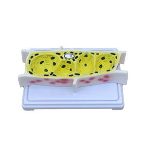 Mô hình tế bào thực vật cấu trúc hình Thái cấu trúc tế bào màng tế bào mô hình giảng dạy mô hình y sinh học - Product Image 5