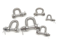 Émerillon en D en acier inoxydable, émerillon de levage droit 304/316, quincaillerie de rigging pour la marine, l'industrie offshore, chimique et minière, WLL