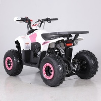 Tao Motor Vente Chaude Quad pour Enfants 110cc 4 Temps 1000W Automatique à Essence Transmission par Chaîne avec CE EPA