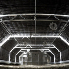 GT Đèn Khung Nhà Kính Màn Đêm 100% Tự Động Hoàn Toàn Cho Thực Vật Y Tế - Product Image 3