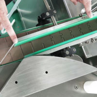 Convoyeur pour ligne de production d'emballage, équipement de remplissage haute productivité pour applications de shampooing, de gel et de liquides visqueux