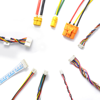 Perakitan kabel kustom profesional, dengan konektor Pin 2.54mm 2/3/4/5/6, steker perempuan untuk aplikasi elektronik