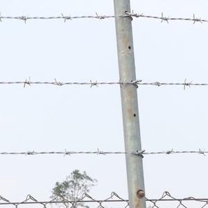 <span class=keywords><strong>ลวดหนาม</strong></span>ตาข่าย 400 เมตร 25 กิโลกรัม สำหรับทางหลวง บ้าน ไร่นา ทนทาน ขนาด 100 มม. สำหรับใช้ในภาคเกษตรและอุตสาหกรรม - Product Image 5