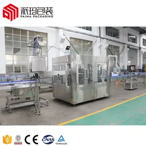Complete Full Automatic PET Water Filling Line Bottle Drinking Water Production Line Small Business Project
