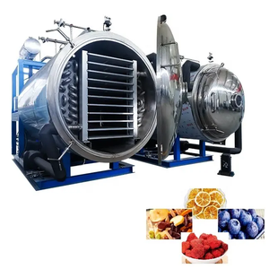Máquina liofilizadora eléctrica grande para industrias agrícolas y productos químicos alimentarios seca frutas vegetales incluye bomba de congelación - Product Image 2
