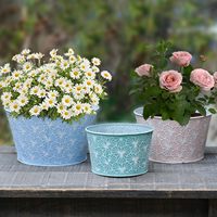 Pot de fleurs en fer, petit pot de plantes, pour jardin et maison, léger, durable, design mignon, métal galvanisé, lignes vertes et bleues