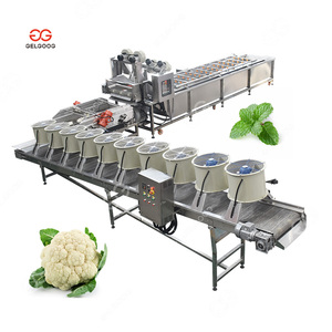 ג 'לoog תשוקה פירות וניקיון ירקות ומיון קו אריזה כביסה - Product Image 5