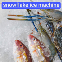 Machine à glace en flocon de neige Machine à glaçons commerciale automatique Capacité de 60kg Marque Jingxin