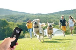 Nuevas Ideas de productos <span class=keywords><strong>2022</strong></span>, equipo de entrenamiento para perros, collares de entrenamiento para perros eléctricos remotos con carga magnética para 2 perros - Product Image 6