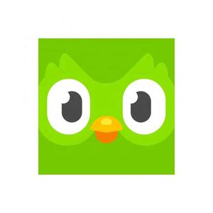 Cuenta Global de Duolingo, Duolingo Premium, Duolingo Super, 1 Año, 1, 3, 6, 12 Meses, Vincula tu Cuenta - Product Image 3