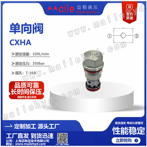 Válvula de Retención Shanghai Mailer CXHA T-16A de Acero Aleado, Unidireccional, para Agua y Aceite - Product Image 5