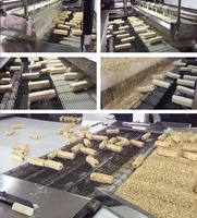 Machine automatique de glaçage et de refroidissement du chocolat à bande transporteuse à voie unique, tunnel de refroidissement, machine à faire fondre et à enrober le chocolat