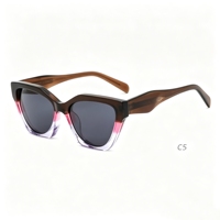 Lunettes de soleil en acétate de haute qualité, transparentes, avec blocs de couleur tendance, pour la protection extérieure