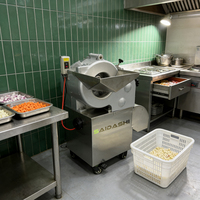 Industriële Hoge Efficiëntie Centrifugaal Snijmachine 200-440V 2.2Kw voor het Snijden van Aardappel, Wortel, Ui, Fruit en Groenten in Blokjes