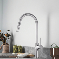 Robinet de cuisine moderne en acier inoxydable 304 avec douchette extractible, cartouche céramique, flexible rotatif à 360 degrés et fixation sur comptoir