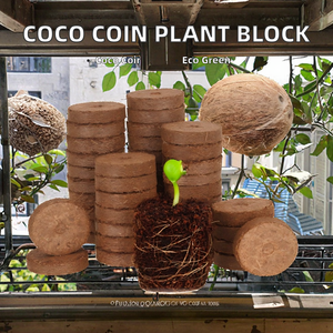 เม็ดมะพร้าวมะพร้าวสำหรับปลูกพืชรูปแบบอิฐบล็อกดินปลูกต้นโกโก้แบบธรรมชาติเป็นมิตรกับสิ่งแวดล้อม - Product Image 2